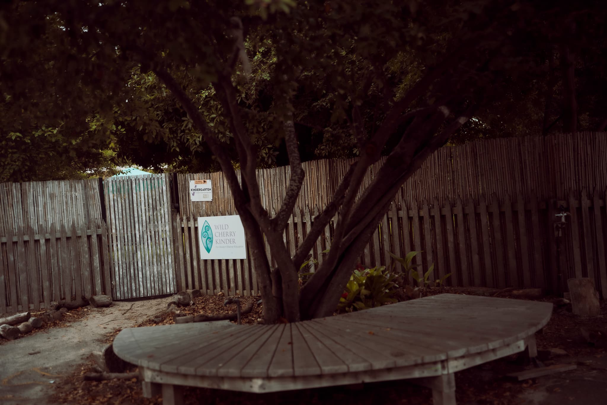 School entrance with wooden fence and mature tree