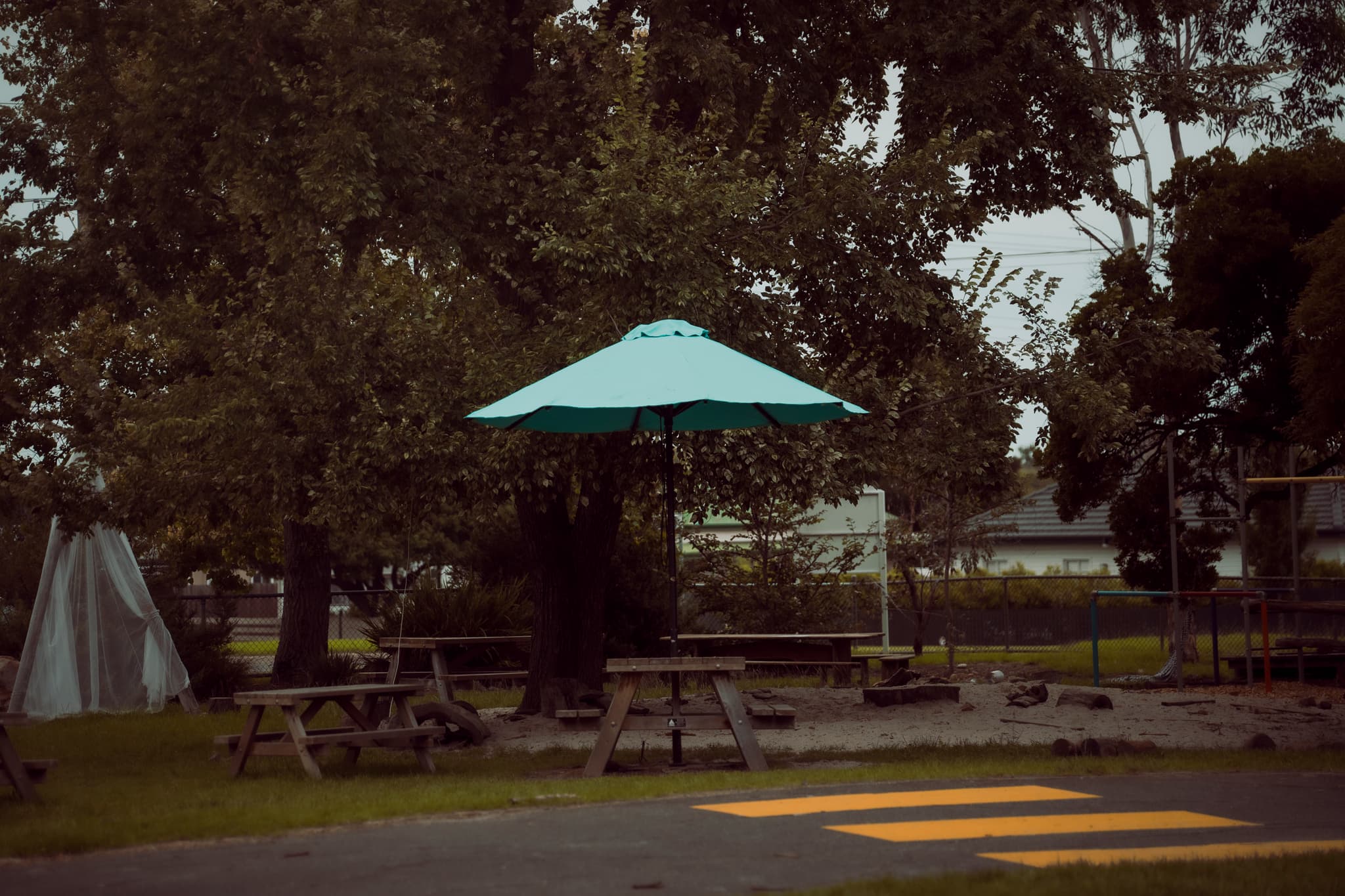 Wild Cherry Harvest Festival