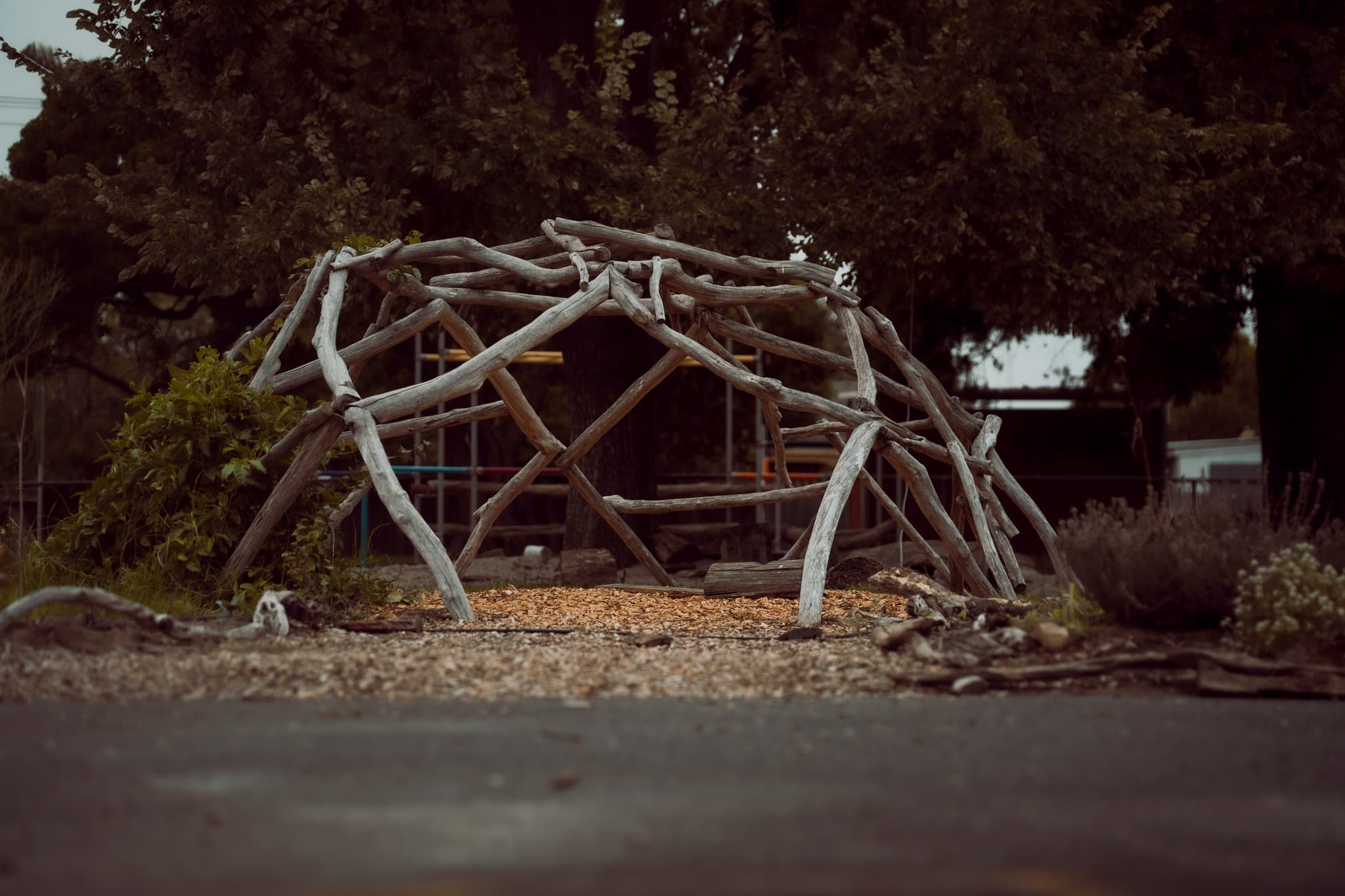 Natural driftwood climbing dome in the school grounds