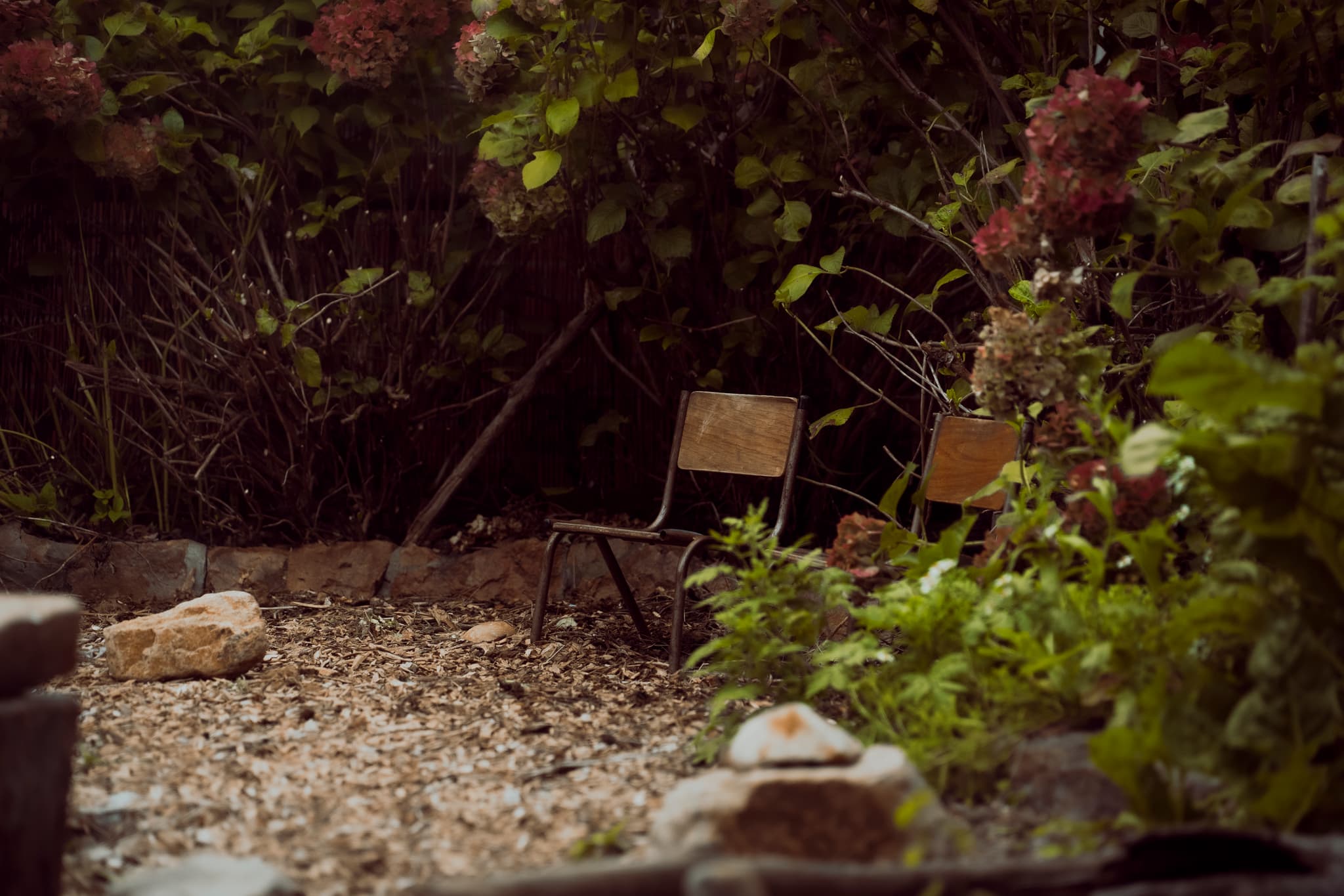 Quiet garden nook with hydrangeas and a weathered chair
