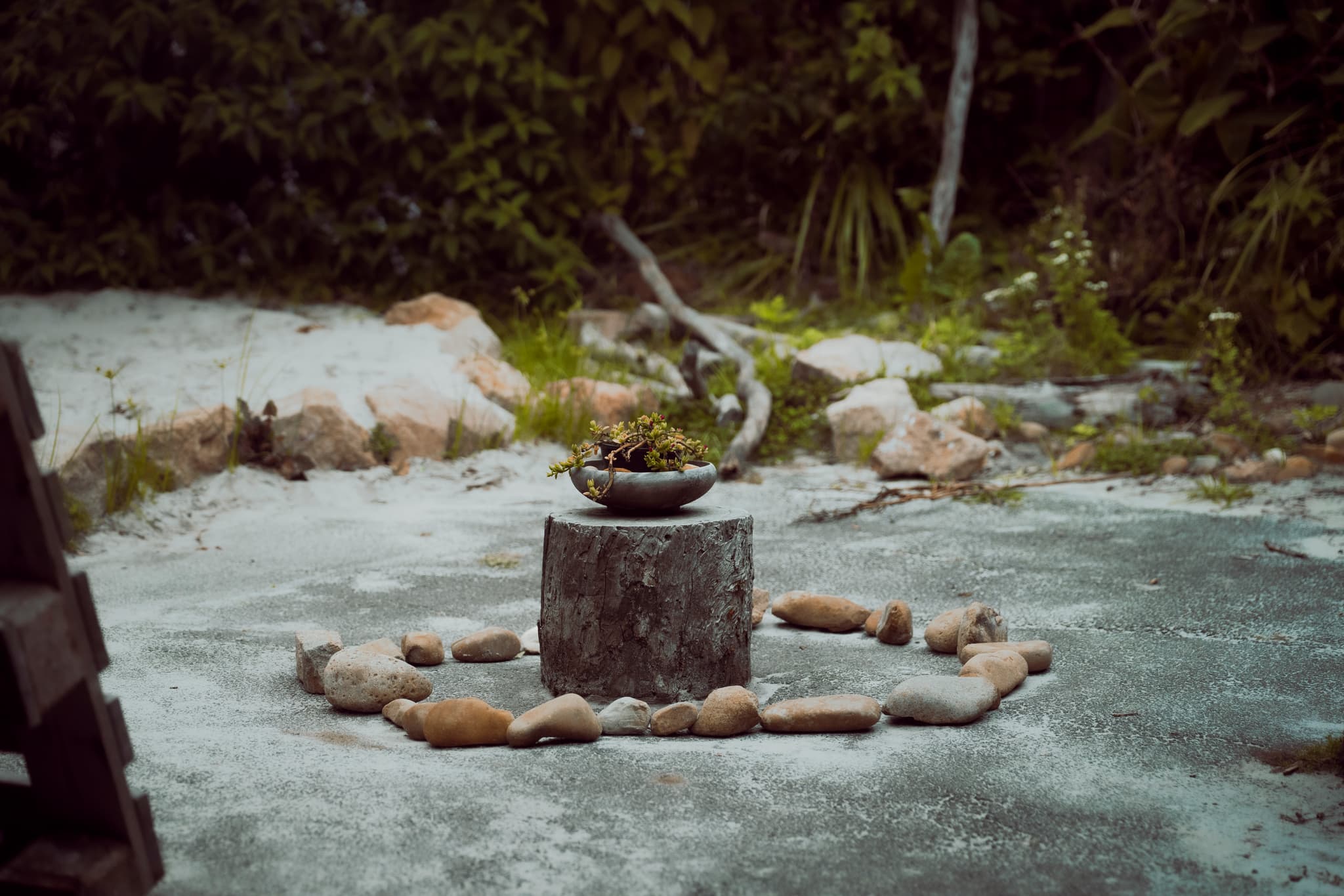 Meditative stone circle with moss and plants